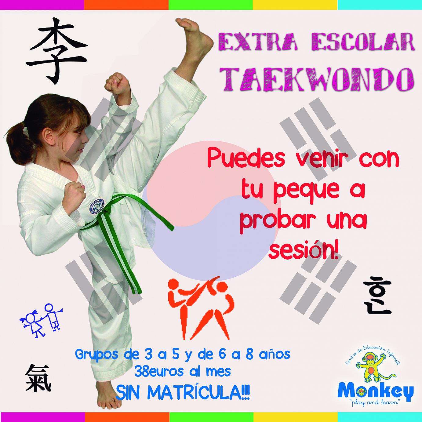 Taekwondo