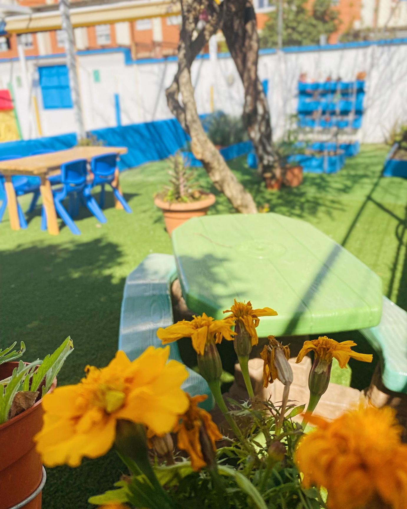 Descubriendo un Mundo Nuevo: Nuestra Nueva aula al Aire Libre. Descubriendo un Mundo Nuevo: Nuestra Nueva aula al Aire Libre.