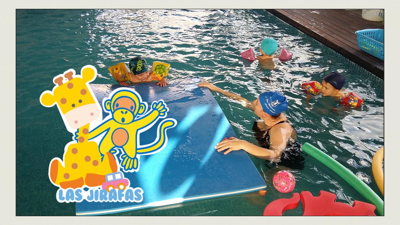 ¡Las Jirafas chapotean en nuestra piscina climatizada! ¡Las Jirafas chapotean en nuestra piscina climatizada!