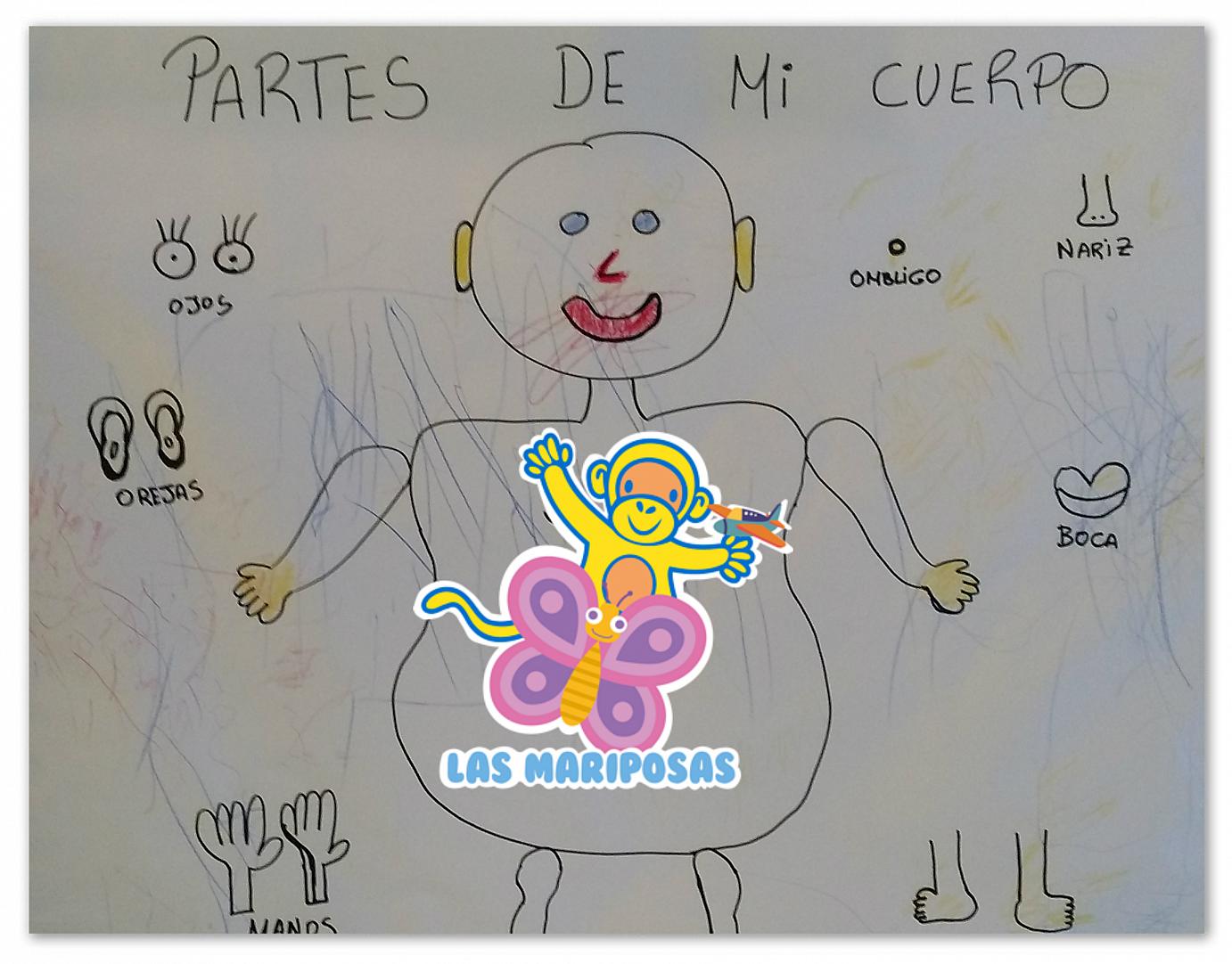 Turno de las mariposas Turno de las mariposas