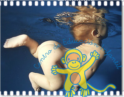 Piscina/Curso 2018-2019: Abierto el Plazo de Renovación Y Matriculación Piscina/Curso 2018-2019: Abierto el Plazo de Renovación Y Matriculación