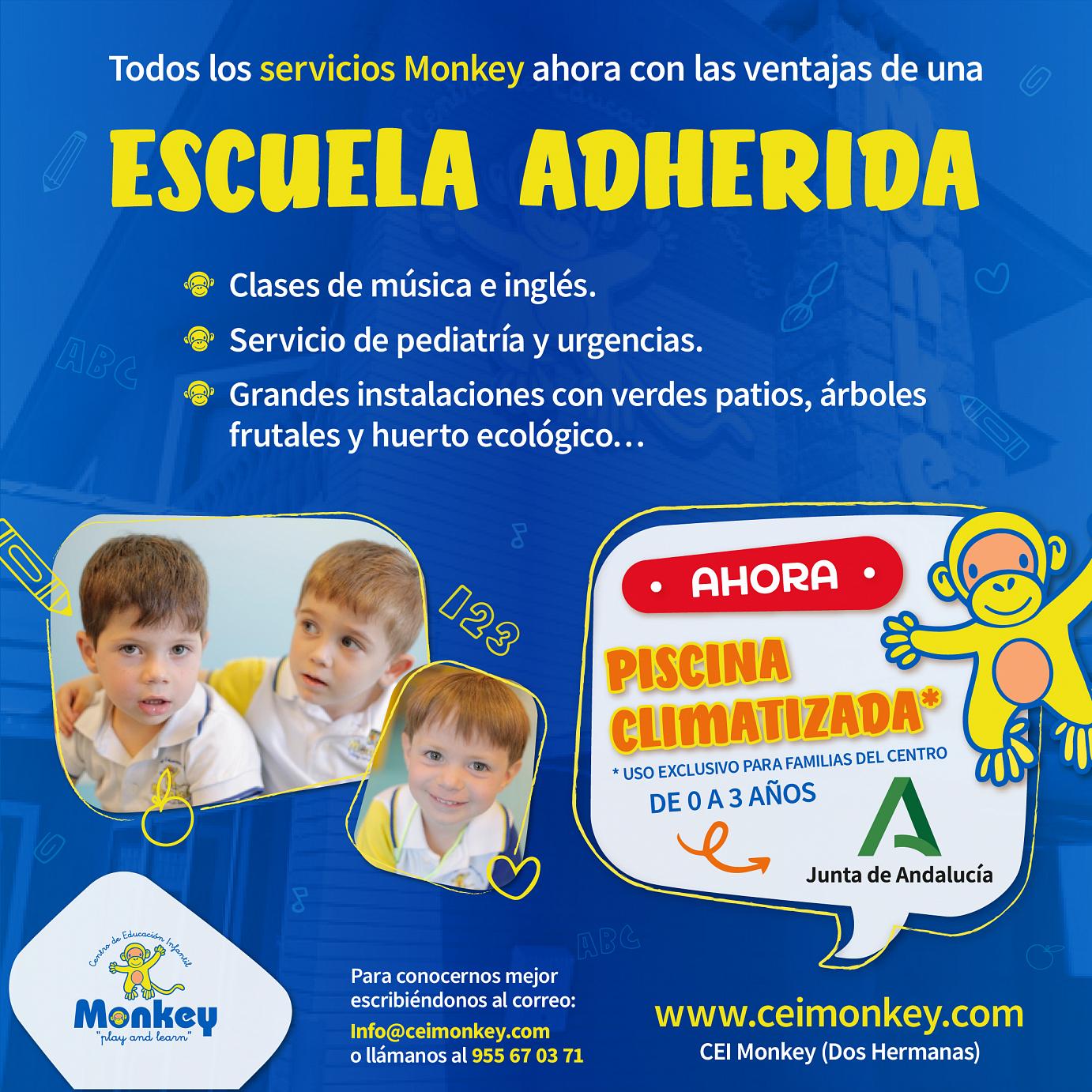Esperamos poder ofrecer servicio de piscina para el próximo curso (De uso exclusivo para alumnos del centro en Dos Hermanas.) Esperamos poder ofrecer servicio de piscina para el próximo curso (De uso exclusivo para alumnos del centro en Dos Hermanas.)
