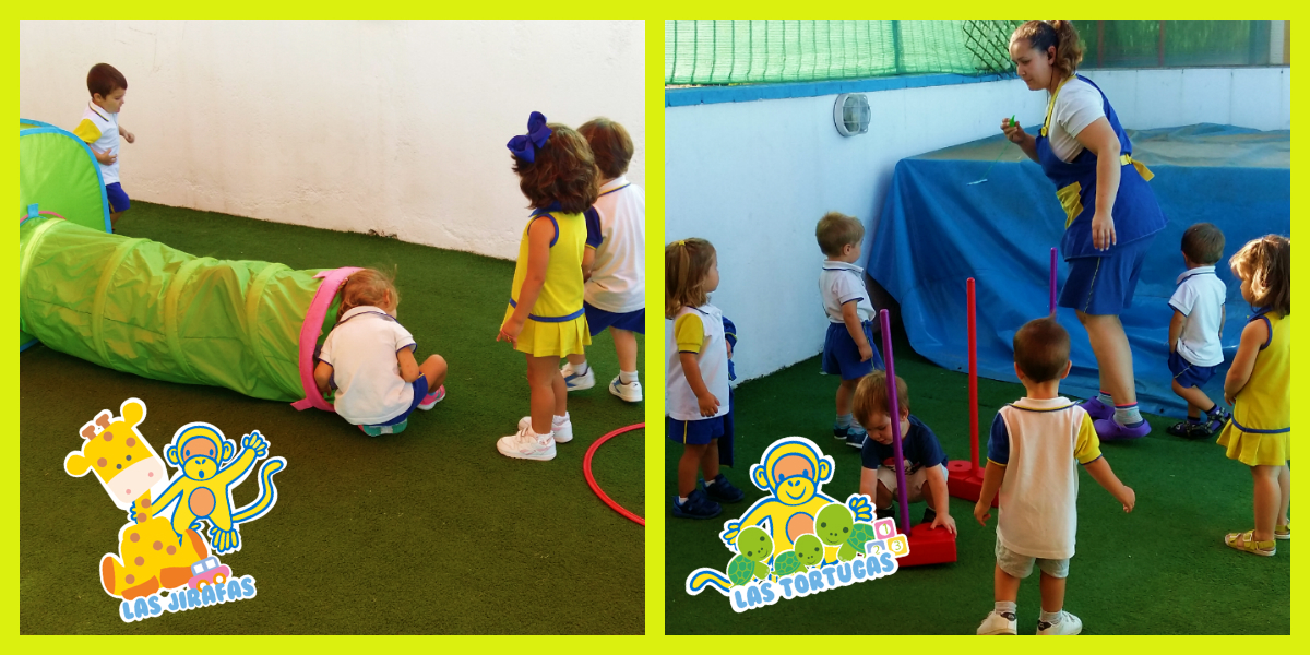 ¡Tortugas y Jirafas disfrutan del patio! ¡Tortugas y Jirafas disfrutan del patio!