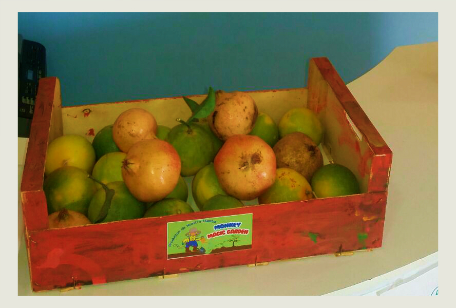 Recolectamos frutos de otoño Recolectamos frutos de otoño