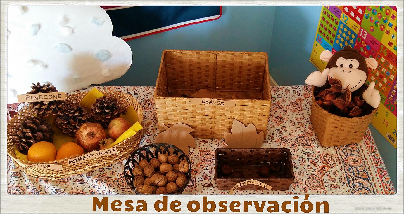 La mesa de observación ya está terminada La mesa de observación ya está terminada