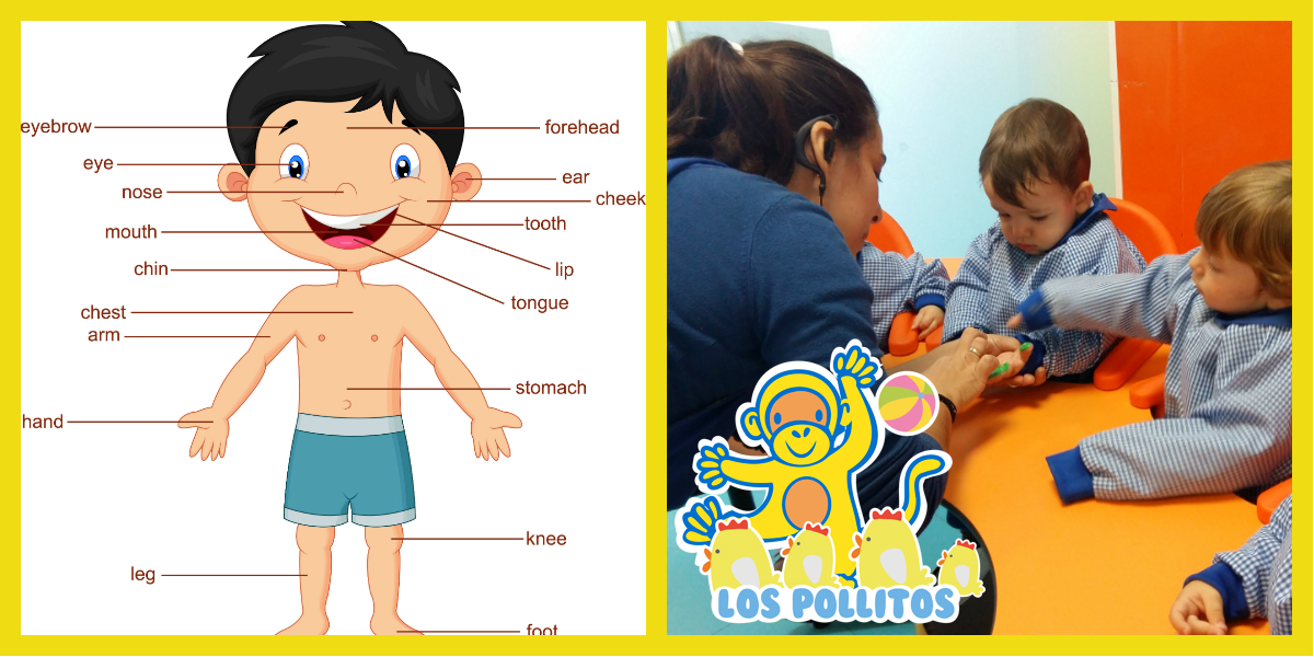 Identificamos las partes de nuestro cuerpecito Identificamos las partes de nuestro cuerpecito